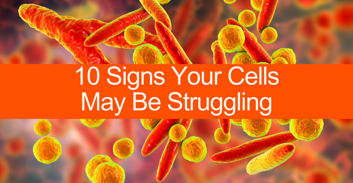 What is Cellular Health & Why It Matters?